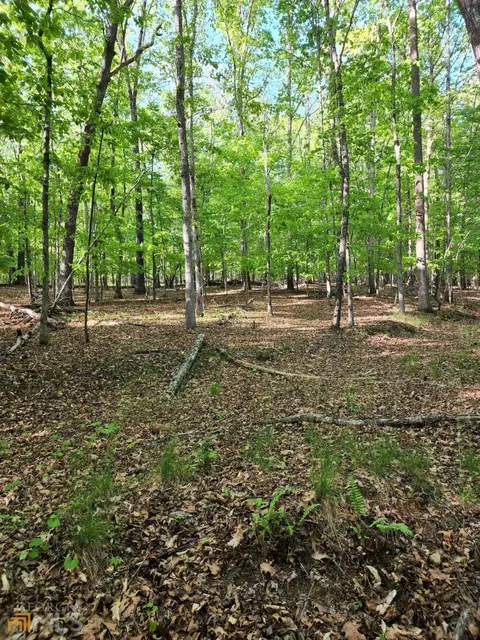 15060 Thompson Rd, Milton, GA 30004 photo 17