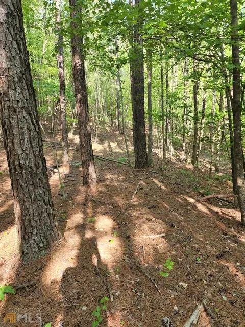 15060 Thompson Rd, Milton, GA 30004 photo 15
