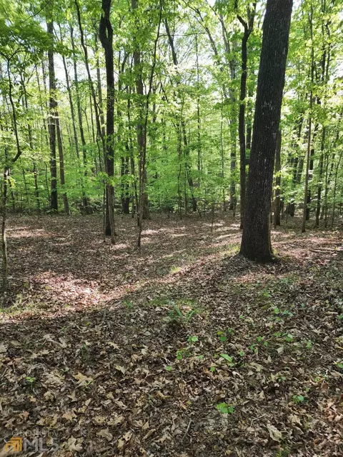 15060 Thompson Rd, Milton, GA 30004 photo 16