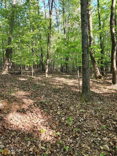15060 Thompson Rd, Milton, GA 30004 photo 9