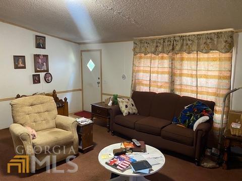 111 Westview Ct, Temple, GA 30179 photo 3