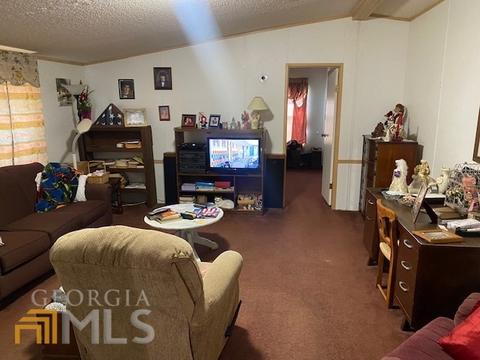 111 Westview Ct, Temple, GA 30179 photo 2