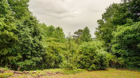 314 Turvey Nichols Rd, Cisco, GA 30708 photo 42