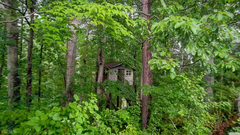314 Turvey Nichols Rd, Cisco, GA 30708 photo 58