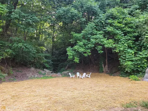 2163 Falls Rd, Toccoa, GA 30577 photo 34