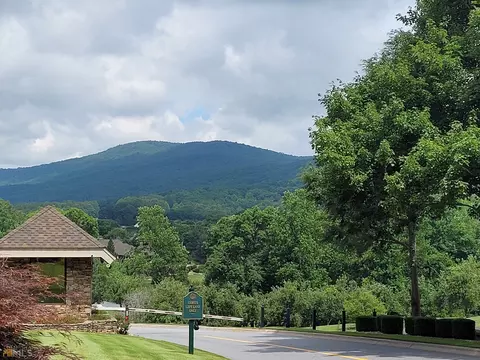 1830 Holland Pippin Dr, Clarkesville, GA 30523