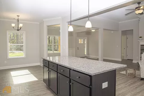 59 Remington Path, Temple, GA 30179 photo 11