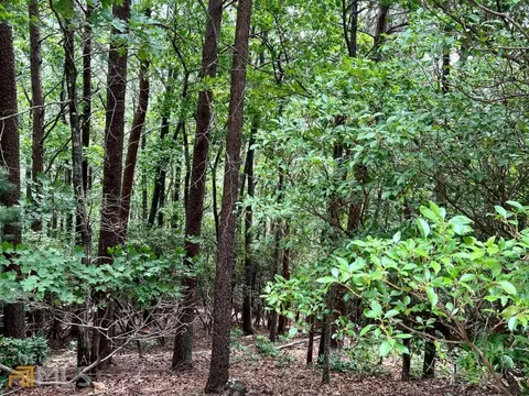 LT1167 Moonshine Bend #1167, Jasper, GA 30143