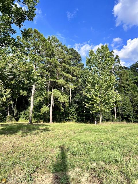 278 Garrison Rd, Claxton, GA 30417 photo 5