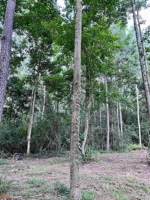 278 Garrison Rd, Claxton, GA 30417 photo 12