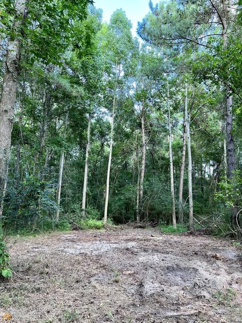 278 Garrison Rd, Claxton, GA 30417 photo 1