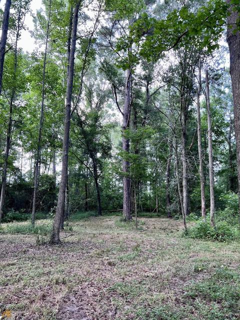 278 Garrison Rd, Claxton, GA 30417 photo 15
