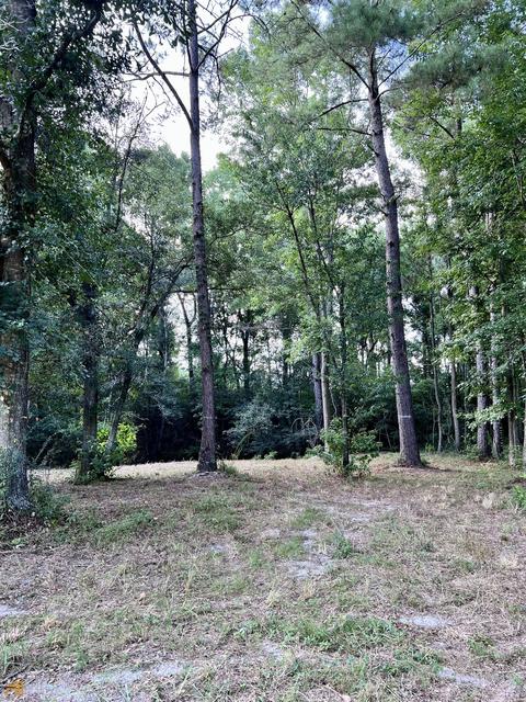 278 Garrison Rd, Claxton, GA 30417 photo 16