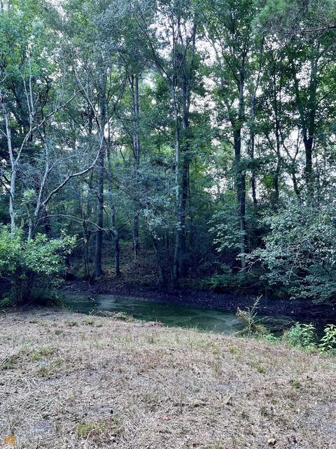 278 Garrison Rd, Claxton, GA 30417 photo 17
