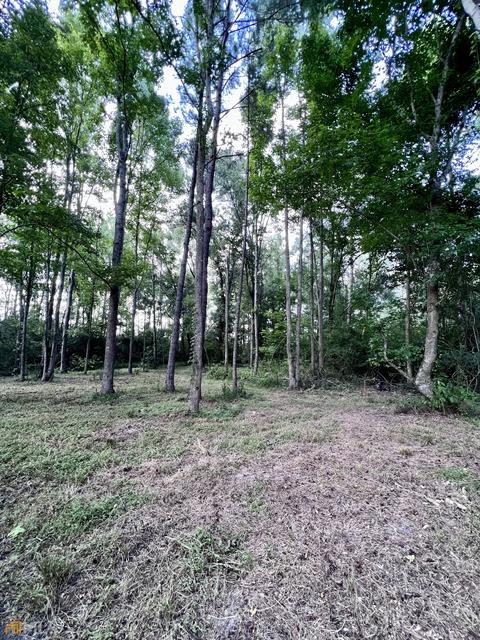 278 Garrison Rd, Claxton, GA 30417 photo 13