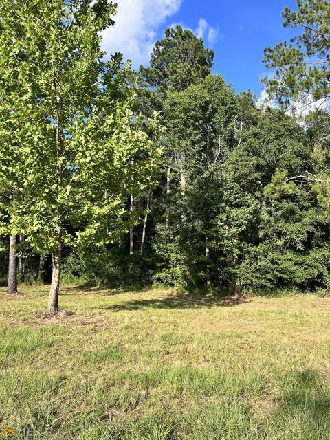 278 Garrison Rd, Claxton, GA 30417 photo 7