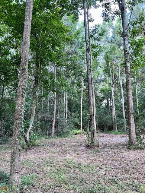 278 Garrison Rd, Claxton, GA 30417 photo 9