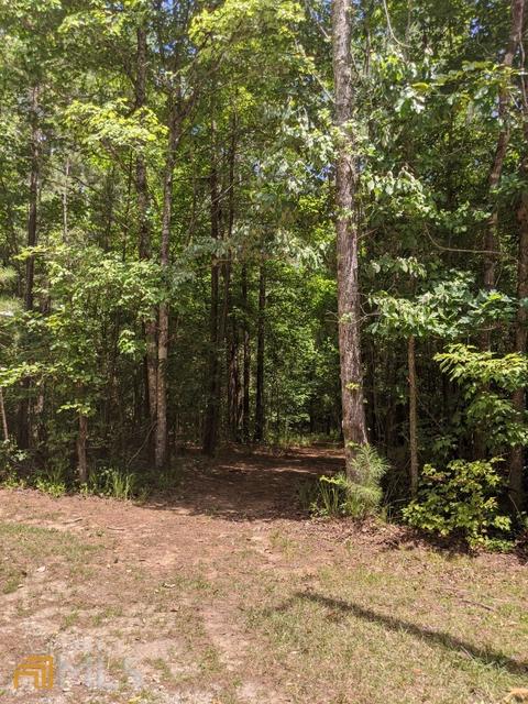 54 Ac 338 Bar None Rd, Forsyth, GA 31029 photo 25