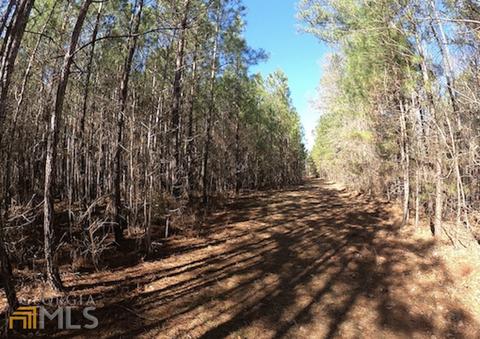 54 Ac 338 Bar None Rd, Forsyth, GA 31029 photo 34