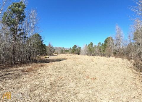 54 Ac 338 Bar None Rd, Forsyth, GA 31029 photo 28