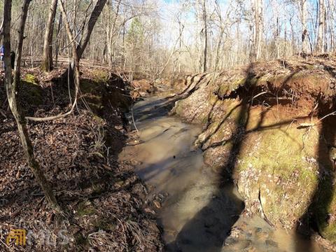 54 Ac 338 Bar None Rd, Forsyth, GA 31029 photo 37