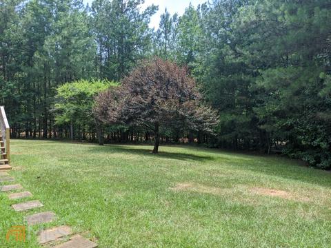 54 Ac 338 Bar None Rd, Forsyth, GA 31029 photo 3