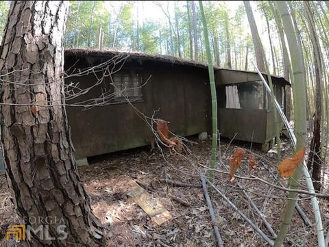 54 Ac 338 Bar None Rd, Forsyth, GA 31029 photo 35