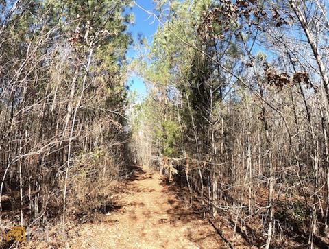 54 Ac 338 Bar None Rd, Forsyth, GA 31029 photo 31