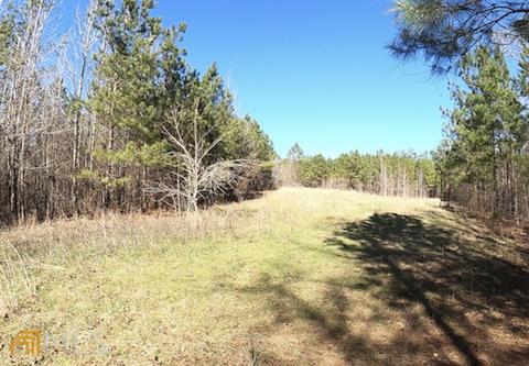 54 Ac 338 Bar None Rd, Forsyth, GA 31029 photo 32
