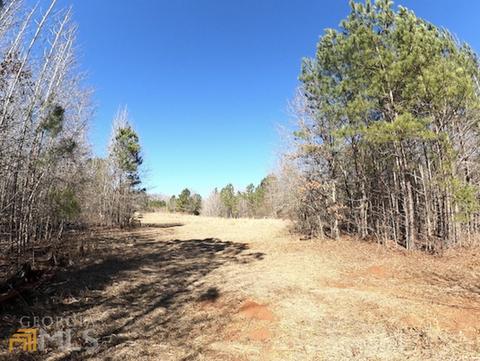 54 Ac 338 Bar None Rd, Forsyth, GA 31029 photo 29