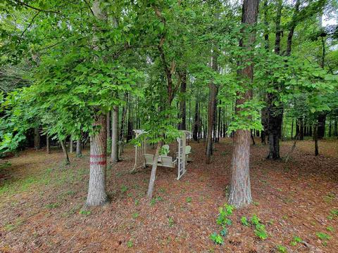 106 Cloisters Dr, Lagrange, GA 30241 photo 76