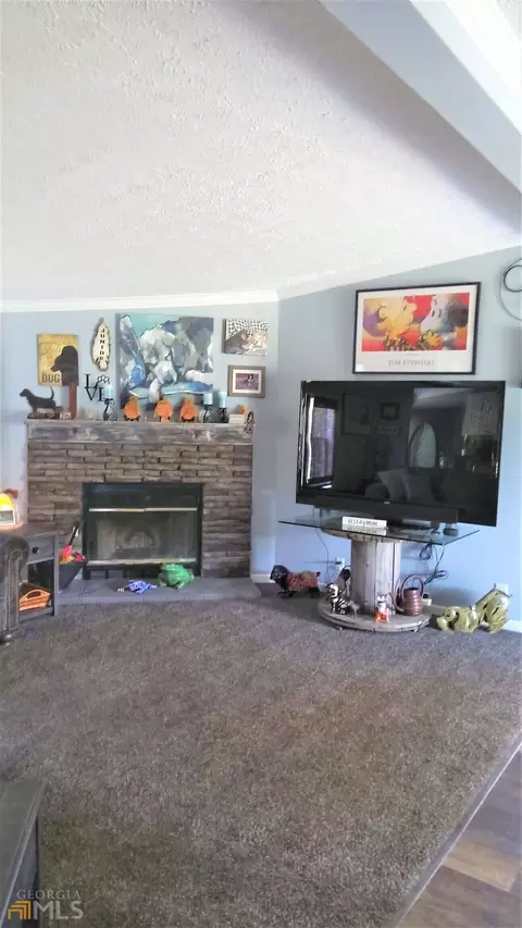2965 Tommy Dillard Rd, Monroe, GA 30656 photo 7