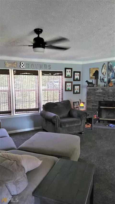 2965 Tommy Dillard Rd, Monroe, GA 30656 photo 8