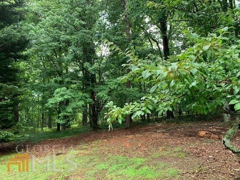 129 Pinecrest Rd, Clarkesville, GA 30523 photo 42