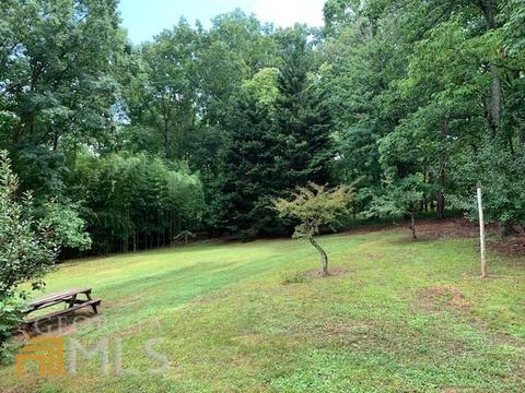 129 Pinecrest Rd, Clarkesville, GA 30523 photo 44