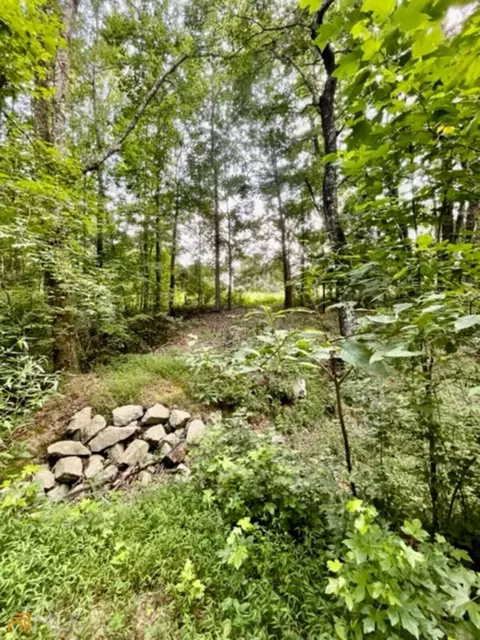 1270 Lackey Rd, Winder, GA 30680 photo 45
