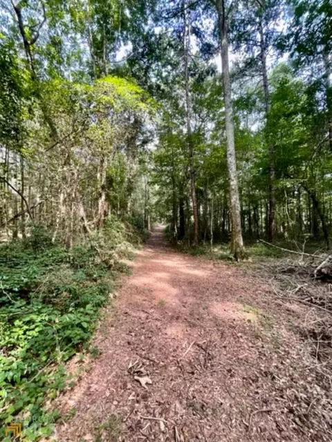 1270 Lackey Rd, Winder, GA 30680 photo 43