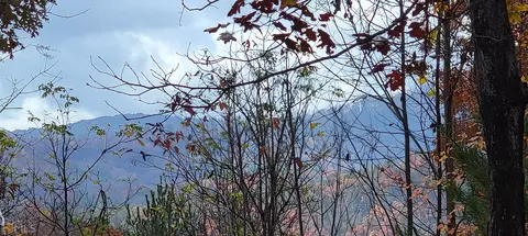 0 Pine Top #LOT HH/20, Clayton, GA 30525