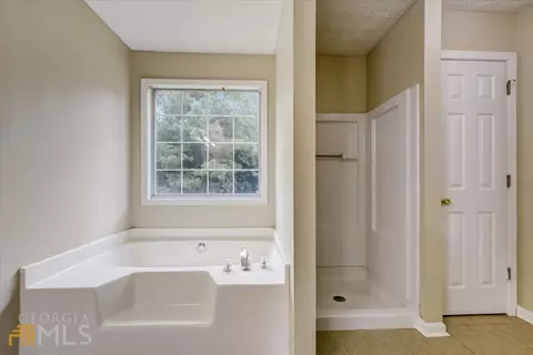 1001 Tara Bnd, Hampton, GA 30228 photo 21