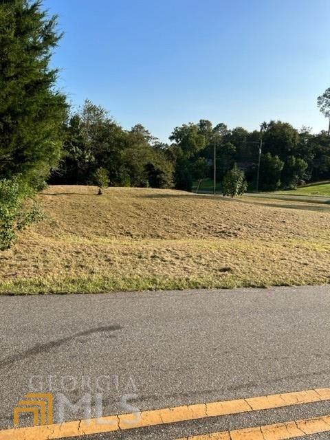 221 Pineview Dr, Americus, GA 31709 photo 2