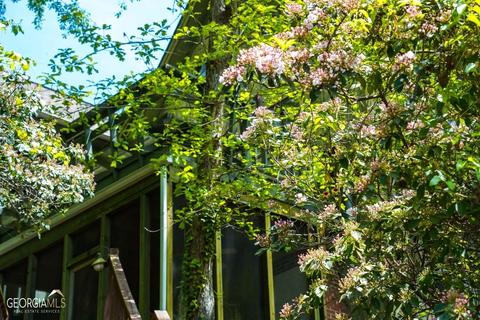 1660 Yonah Lake Rd, Toccoa, GA 30577 photo 110