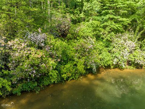 1660 Yonah Lake Rd, Toccoa, GA 30577 photo 19
