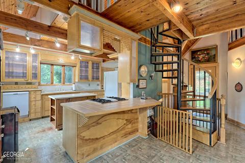 1660 Yonah Lake Rd, Toccoa, GA 30577 photo 46