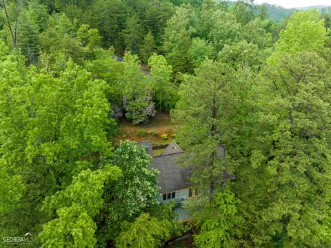 1660 Yonah Lake Rd, Toccoa, GA 30577 photo 112