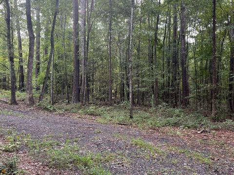 5540 Highway 20 S, Covington, GA 30016 photo 43