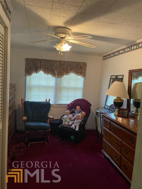 3926 Mize Rd, Toccoa, GA 30577 photo 6
