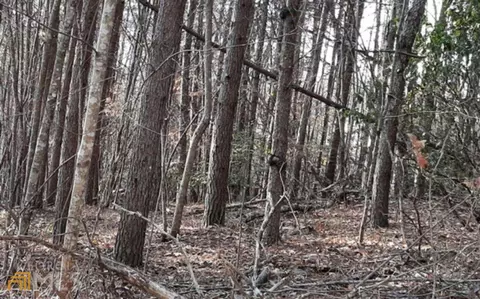 0 Cook Mtn #LOT 11, Blairsville, GA 30512