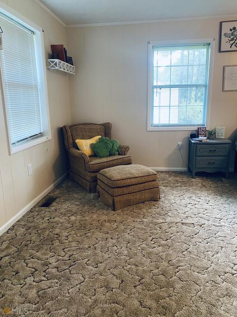 201 Mcbride St, Mount Vernon, GA 30445 photo 35