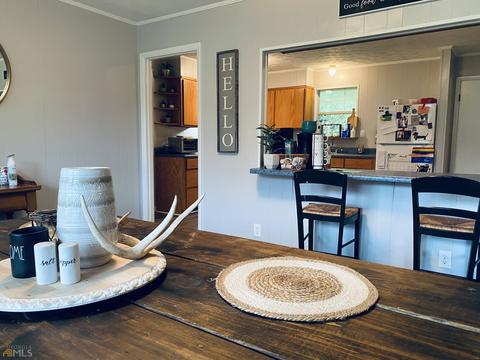201 Mcbride St, Mount Vernon, GA 30445 photo 4