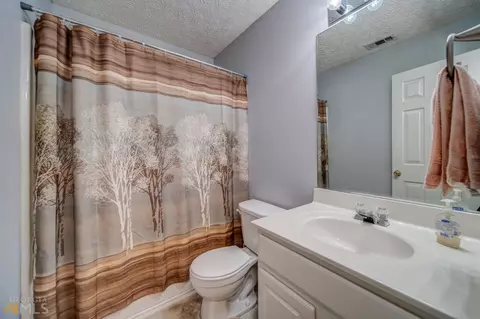 203 Picadilly Pl, Canton, GA 30114 photo 51